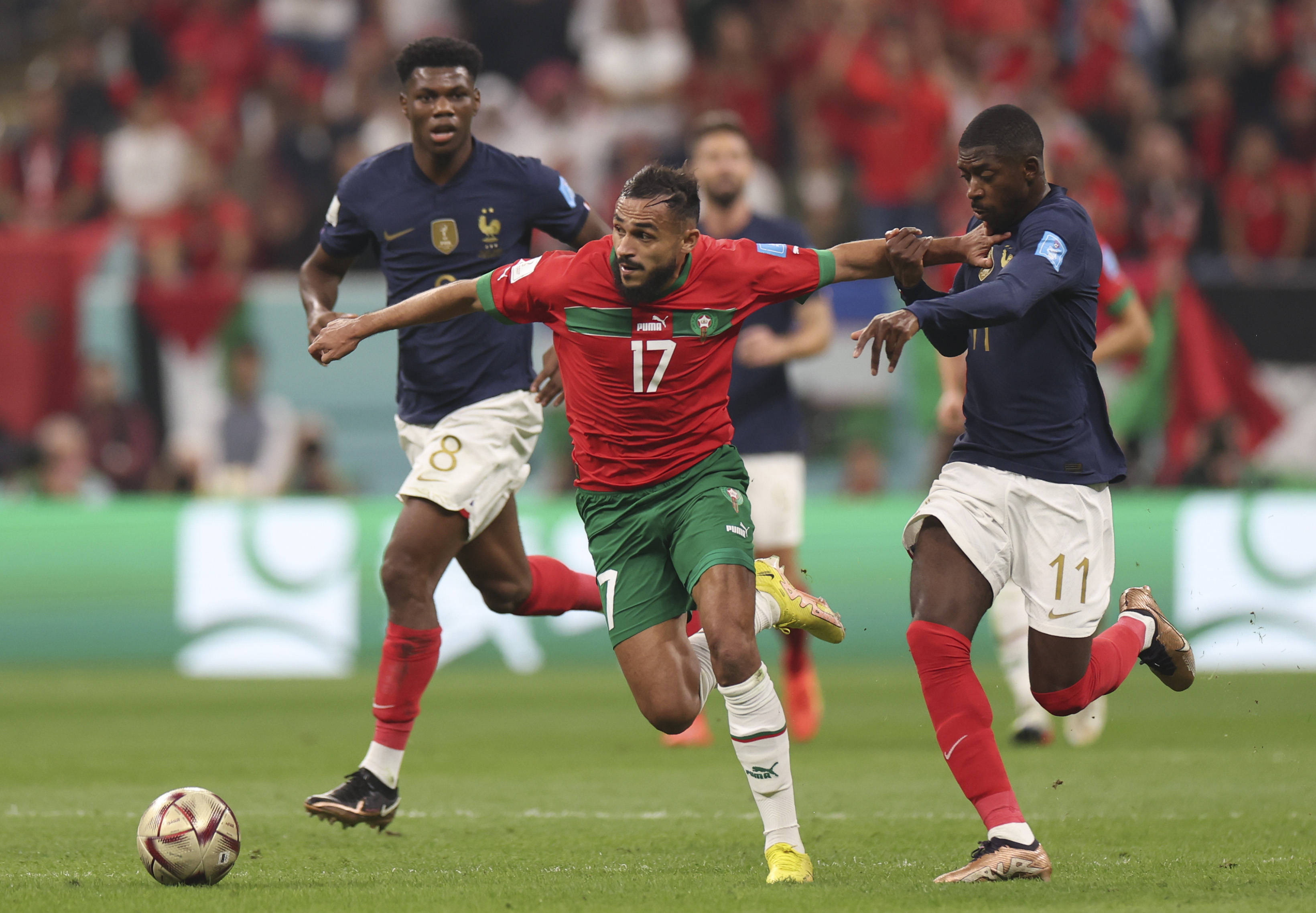 社交媒体上 社交媒体上