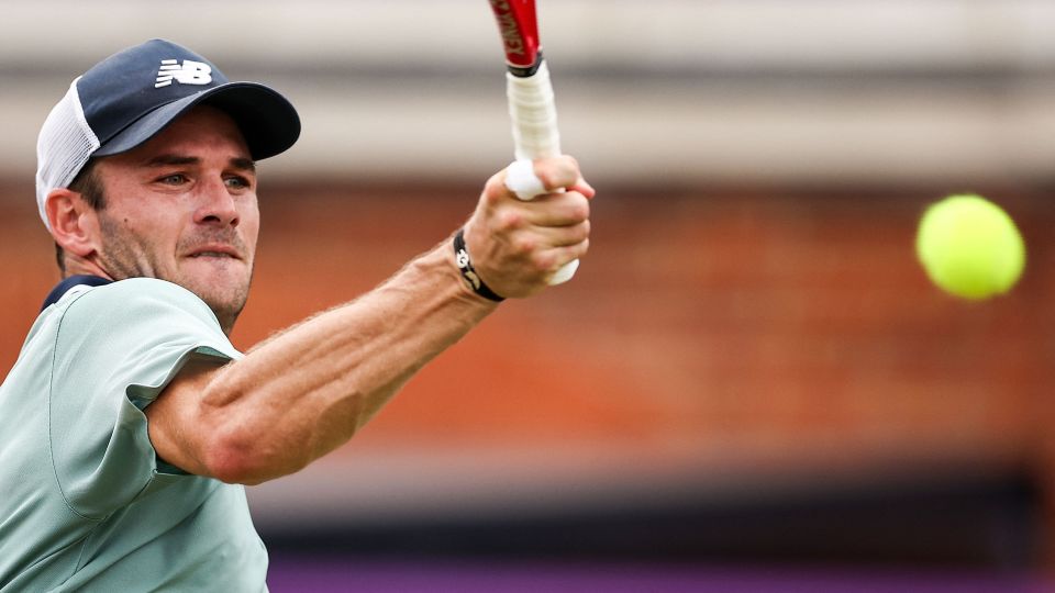 他们可能会 他们可能会